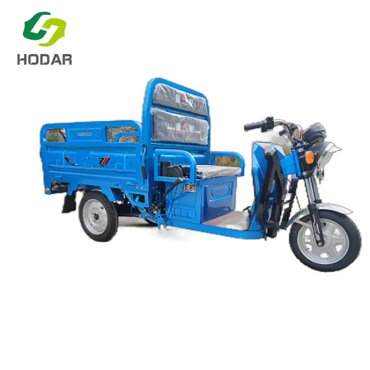 Cargo Tricycle