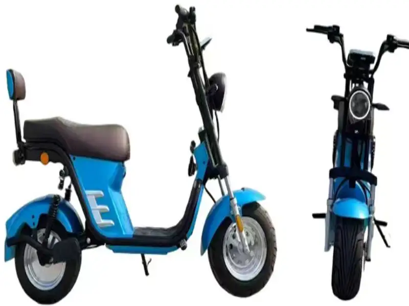 Citycoco Electric Scooter