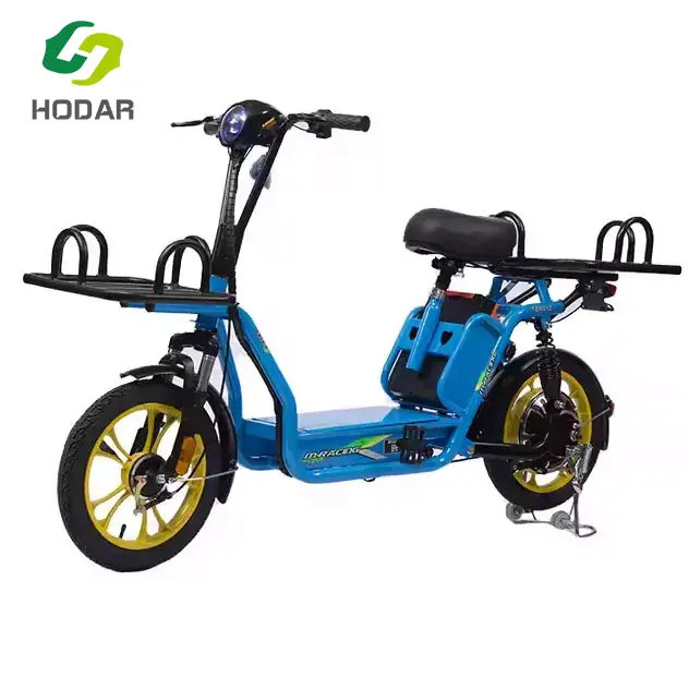 Electric Delivery Bike